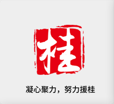 聚焦产业，努力援桂